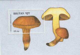 1989 Bhutan #735 Mushrooms - Xercomus Subtomentosus
