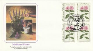 1990 United Nations New York #575 Medicinal Plants - Catharanthus Roseus FDC