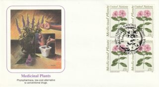 1990 United Nations New York #575 Medicinal Plants - Catharanthus Roseus FDC