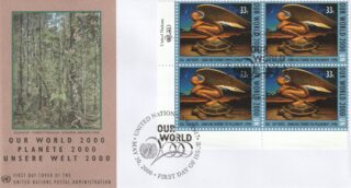 2000 United Nations New York #777 Our World 2000 - Crawling Toward the Millennium by Sam Yeates FDC