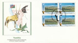 1991 United Nations New York #589 Namibian Independence - Savanna FDC